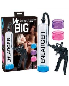Penispomp - Mr. Big