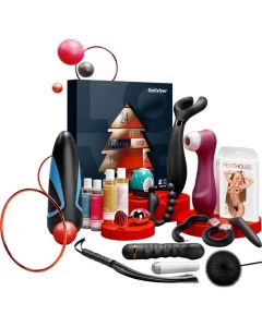 Satisfyer Premium Adventskalender 2022