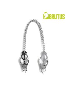 Tepelklemmen Japanese Clover Brutus