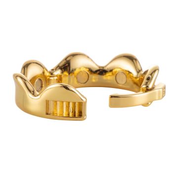 Sevanda Ring of Kings Glans Ring - Maat L