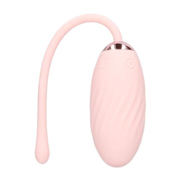 Vibrerend Ei Felicite - Roze