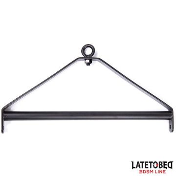 Latetobed BDSM Line Ceiling Swing