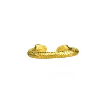 Gouden Cockring Slang - Kiotos