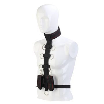 Body Collar Blaze Deluxe