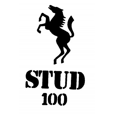 Stud 100